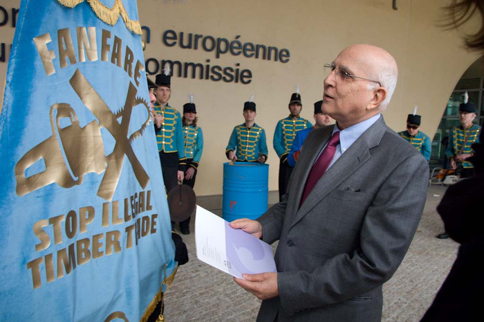 190308_timber_action