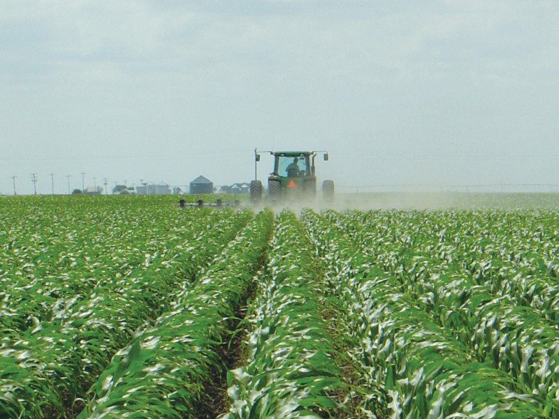 Bt_corn_field_Nebraska