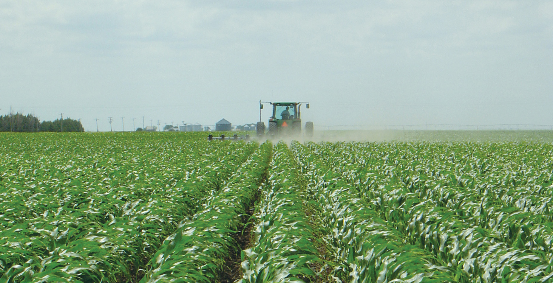 Report reveals dramatic rise in pesticide use on modified