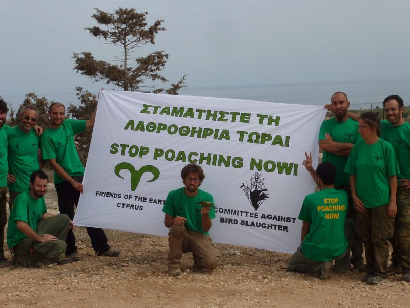 Cyprus_Stop_Poaching_Now_action_2010