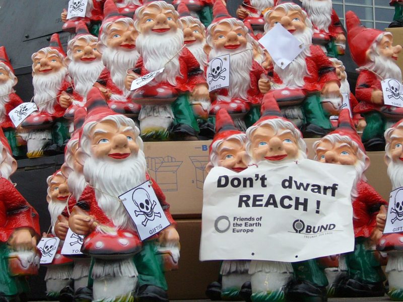 Dont_dwarf_REACH2_Nov2005