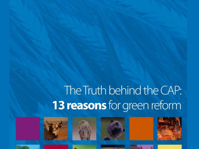 FoEE_13_reasons_for_green_CAP_reform_0611