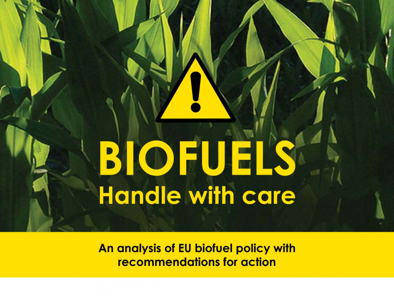 FoEE_Biofuels_Handle_With_Care_1109