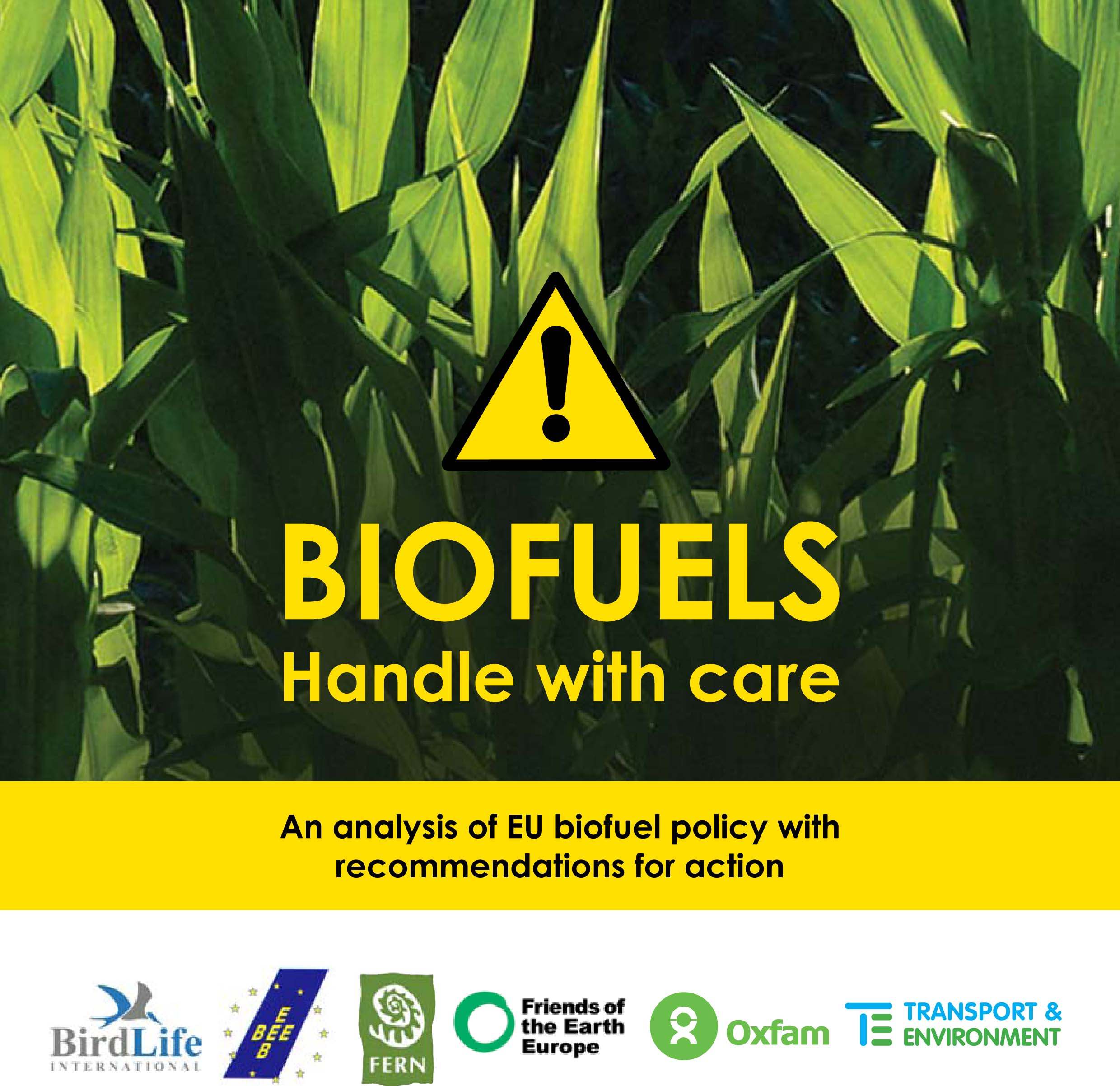 FoEE_Biofuels_Handle_With_Care_1109