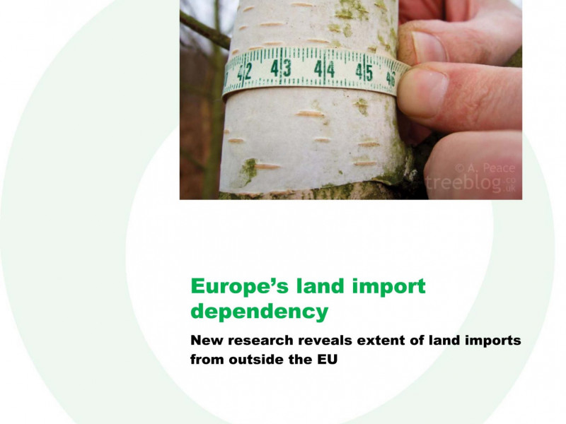 FoEE_Briefing_Europe_Global_Land_Demand_1011