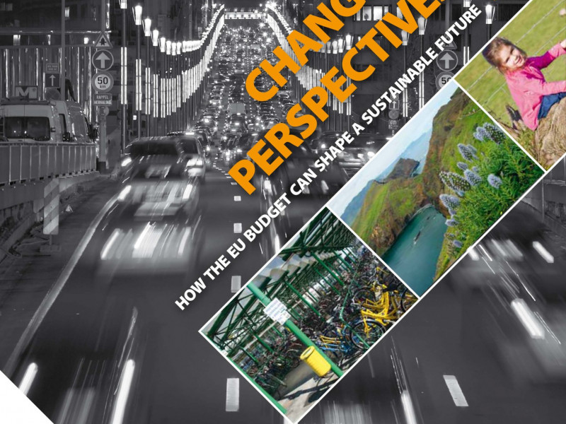 FoEE_Changing_perspectives_1110