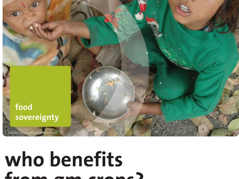 FoEE_GMO_who_benefits_0209