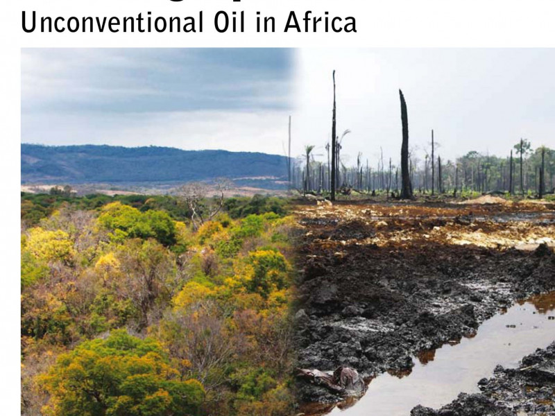 FoEE_Locking_up_the_future_HBS_1111