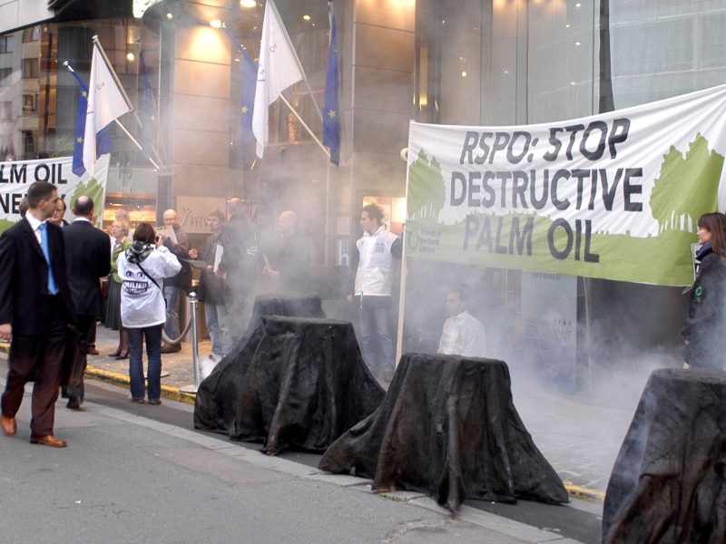 FoEE_stop_palm_oil4_0907