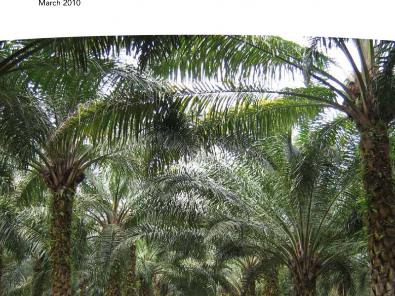 FoEE_Too_Green_to_be_True_0310