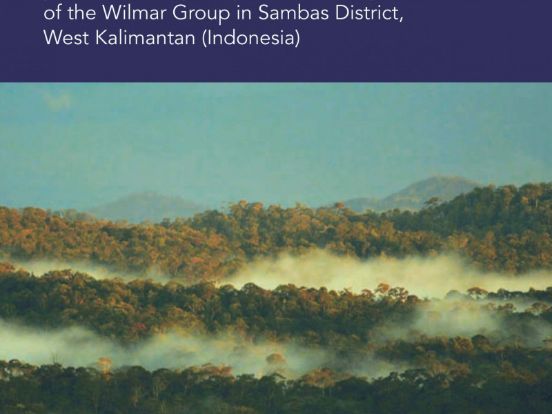 FoEE_Wilmar_Palm_Oil_Environmental_Social_Impact_0707-1