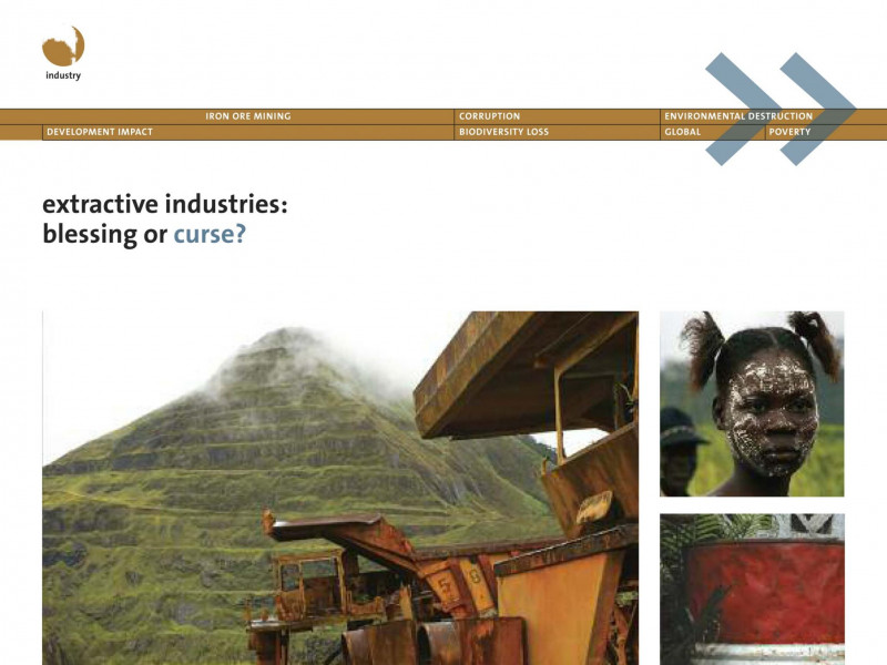 FoEE_Working_for_development_0610