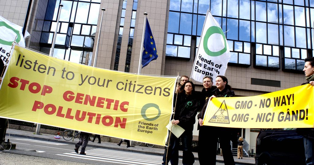 Friends of the Earth Europe welcomes French ban on genetically modified maize