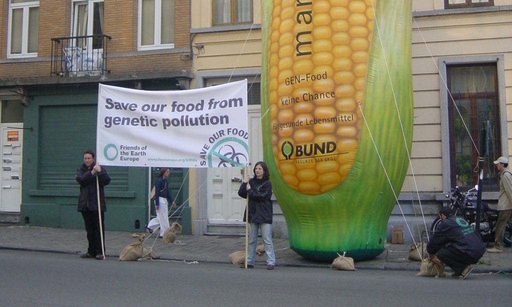 GM FOODS: TEST VOTE FOR “NEW EUROPE”