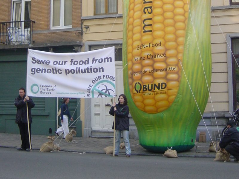 GMO_Brussels_round_table_action_0403
