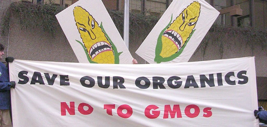 EU plans to allow GM crops in through the back door