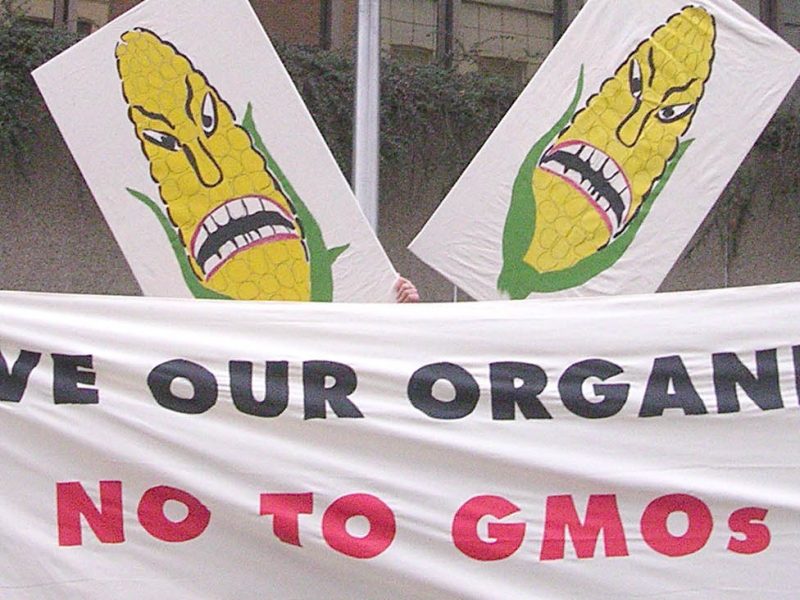 GMO_organics_action_jan2004