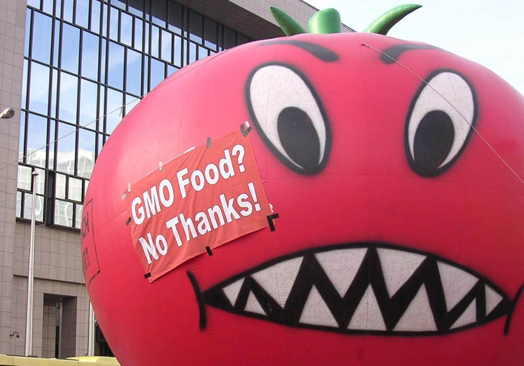Monsanto targets Europe’s maize