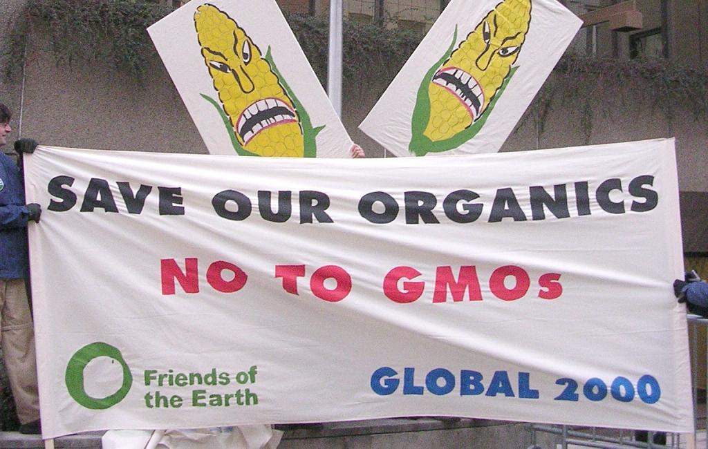 GM crops fail EU Lisbon Agenda goals