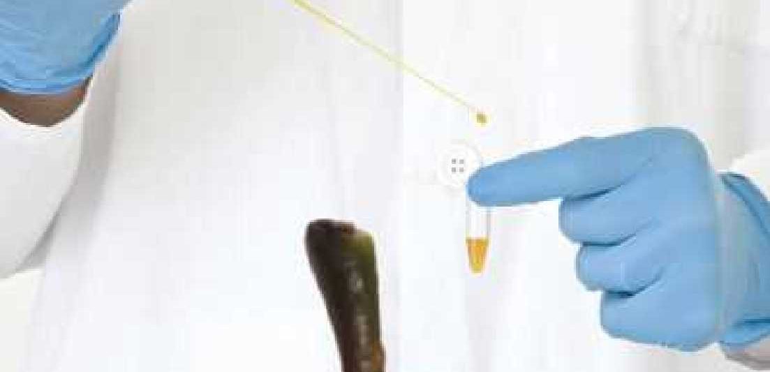 out of the laboratory