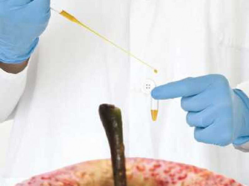 out of the laboratory