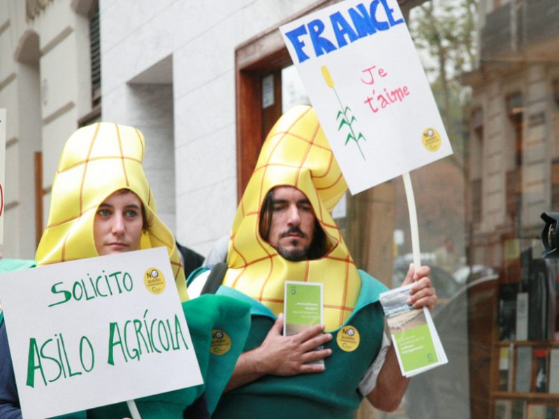 Spain_Maize_GMO_action_2009