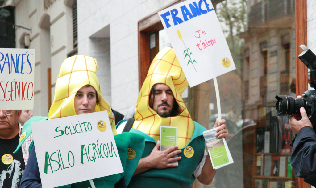 NEW REPORT: European banks financing damaging agrofuels in Latin America