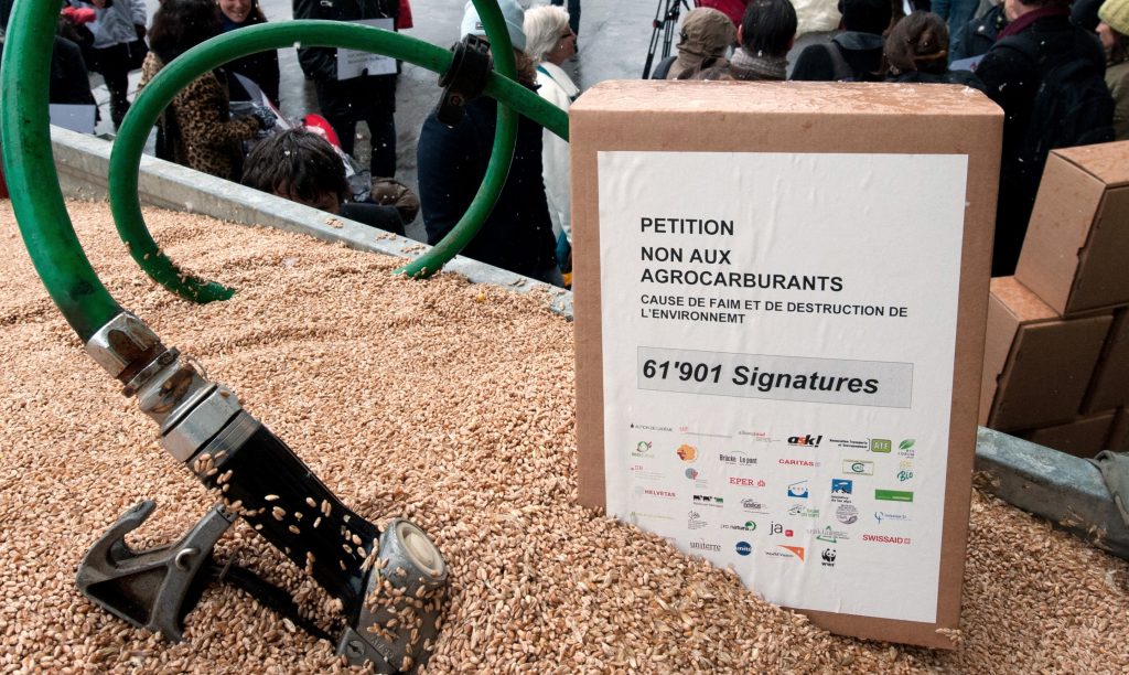 Environmental groups call for credible biofuel safeguards