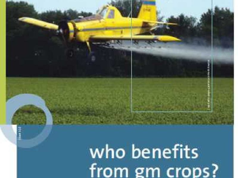who benefits from GM crops