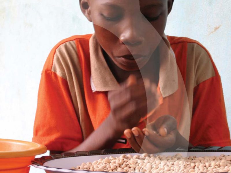 farming_money_foee_jan2012