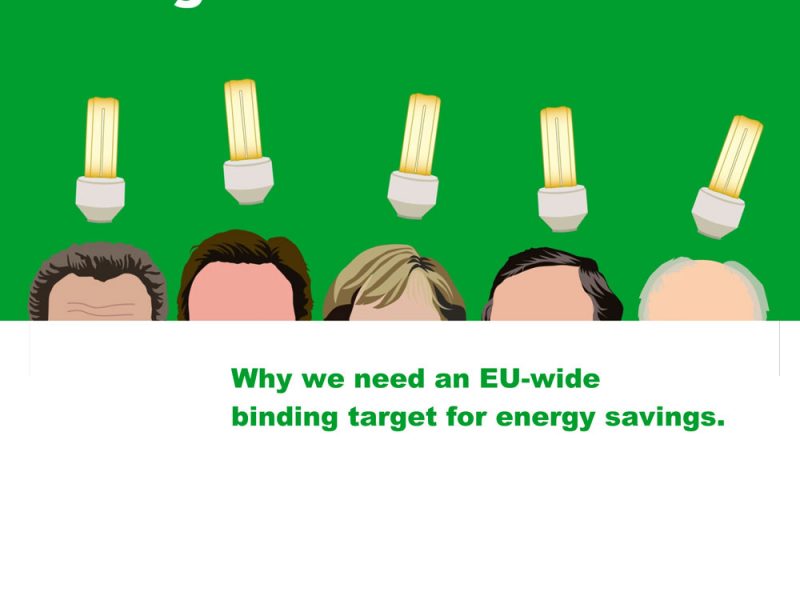 foee_energy_savings_briefing_feb