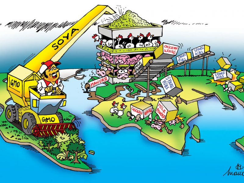 foee_international_responsi