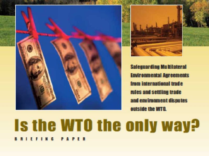 is_the_wto_the_only_way