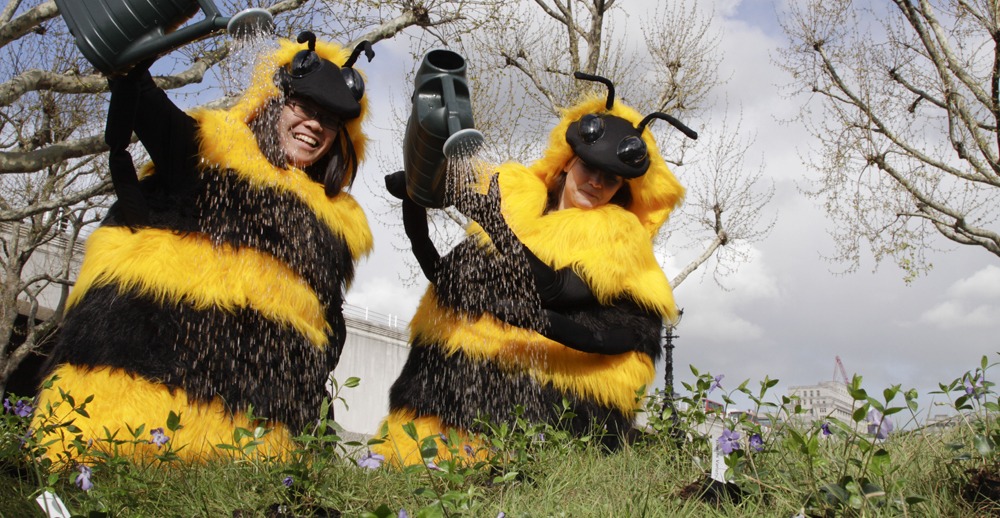 Great success in Wales for ‘Bee Cause’