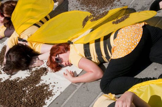 austria_stop_killing_bees_2011