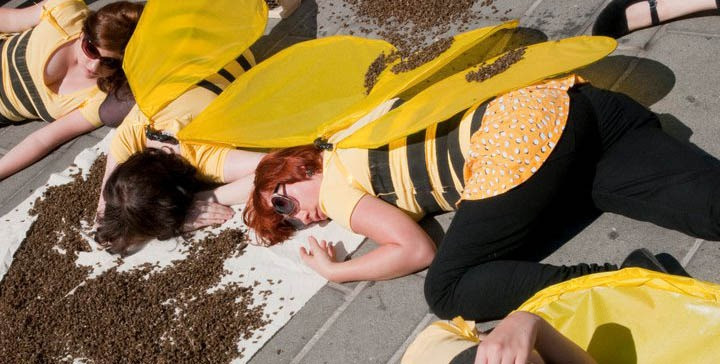 austria_stop_killing_bees_2011