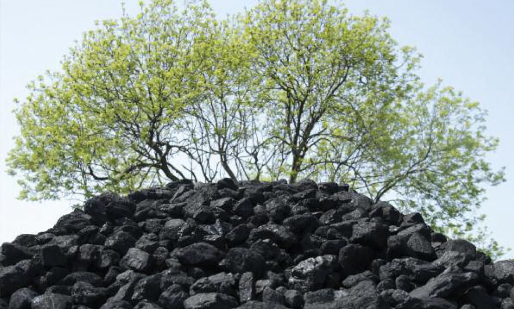 Biomass ‘dirtier than coal’