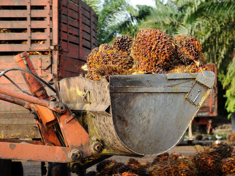 palm_oil_stock_purchased_dr