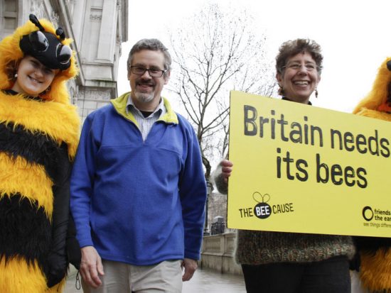 bee_petition_downing_st