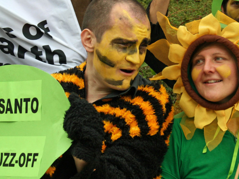 monsanto_bee2_09062011