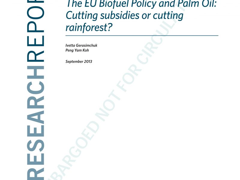iisd_eu_biofuel_policy_palm_oil_september2013_thumb