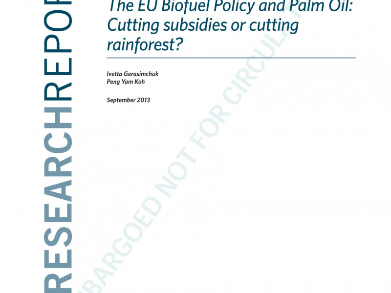iisd_eu_biofuel_policy_palm_oil_september2013_thumb