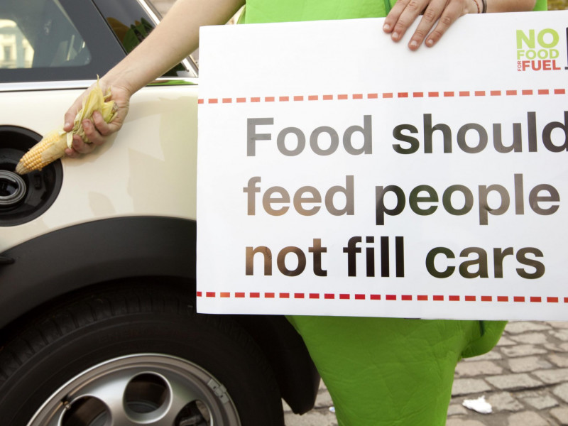 no_food_fuel_action_0913