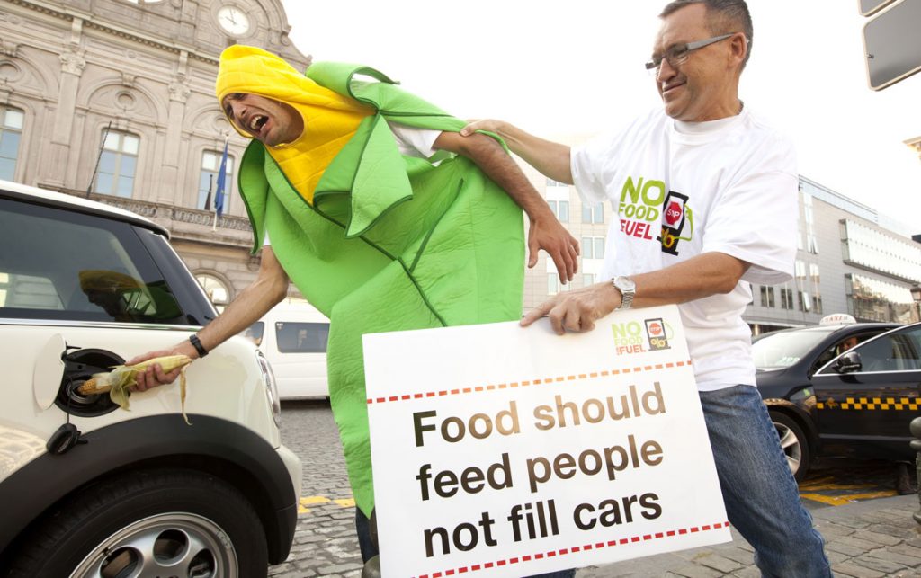 Biofuels warning ignored at UN food conference