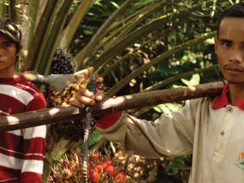 commodity_crimes_nov13_pic