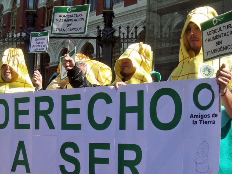 gmo_spain
