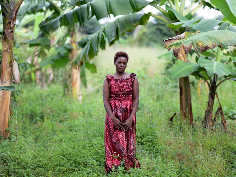 foei_landgrab_jasontaylor