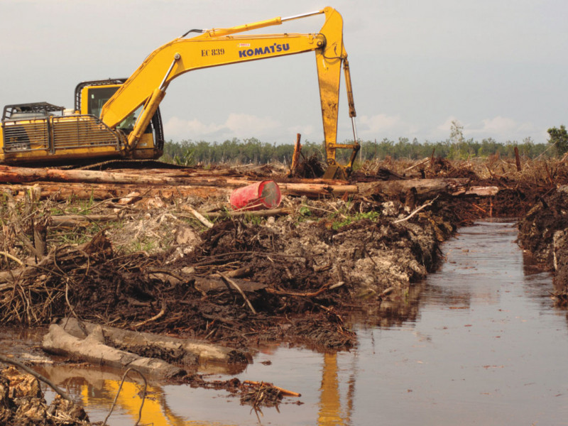 bumitama_clearing_jasontayl