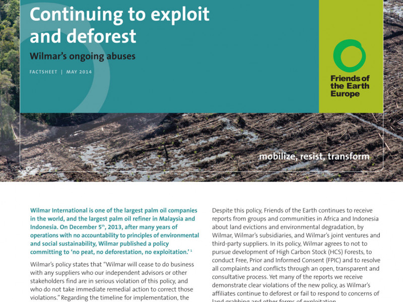 foee-wilmar-factsheet-22051