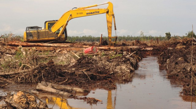 bumitama_clearing_jasontayl_0